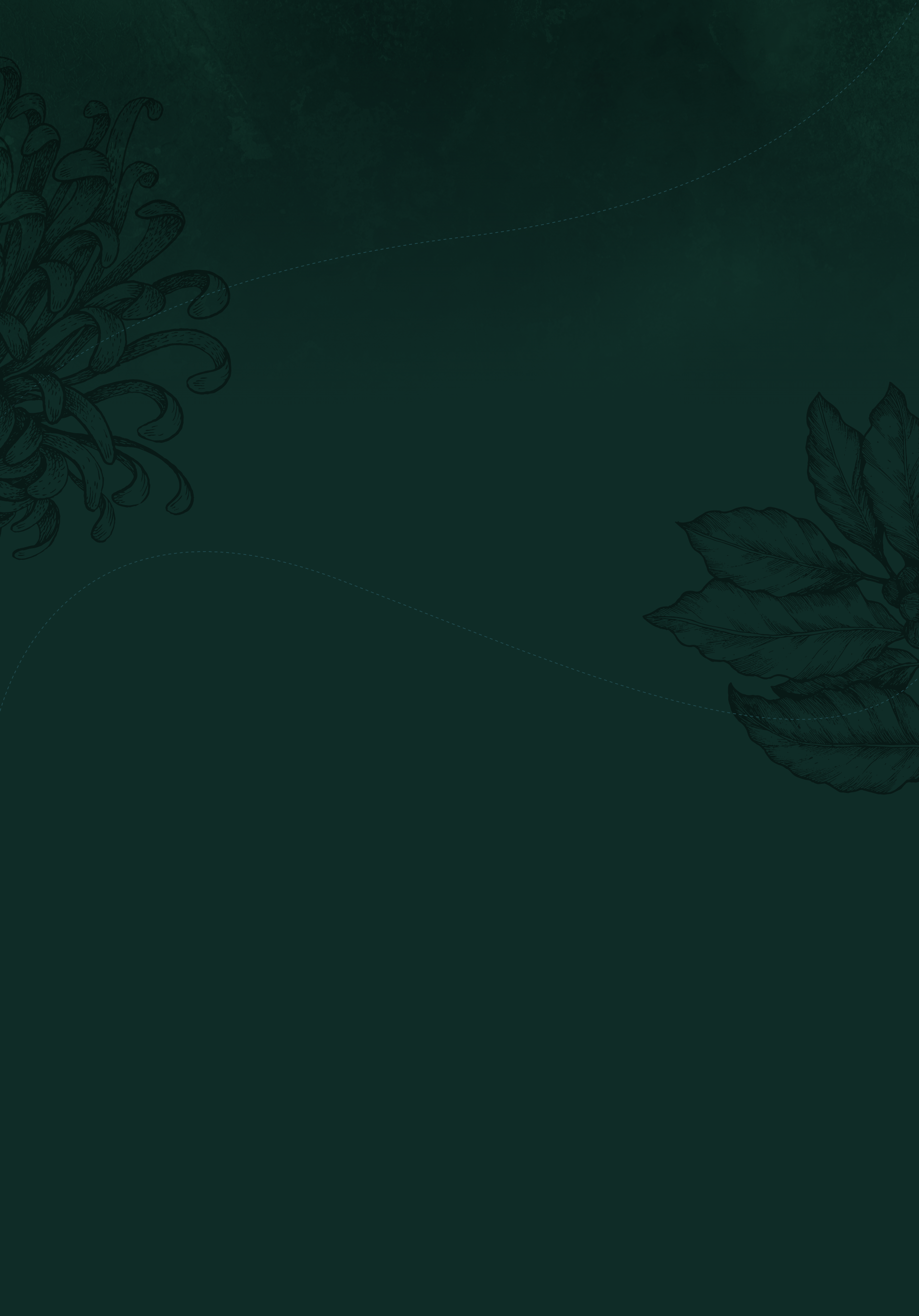Dark Green background for our digital marketing client The Forest Hotel
