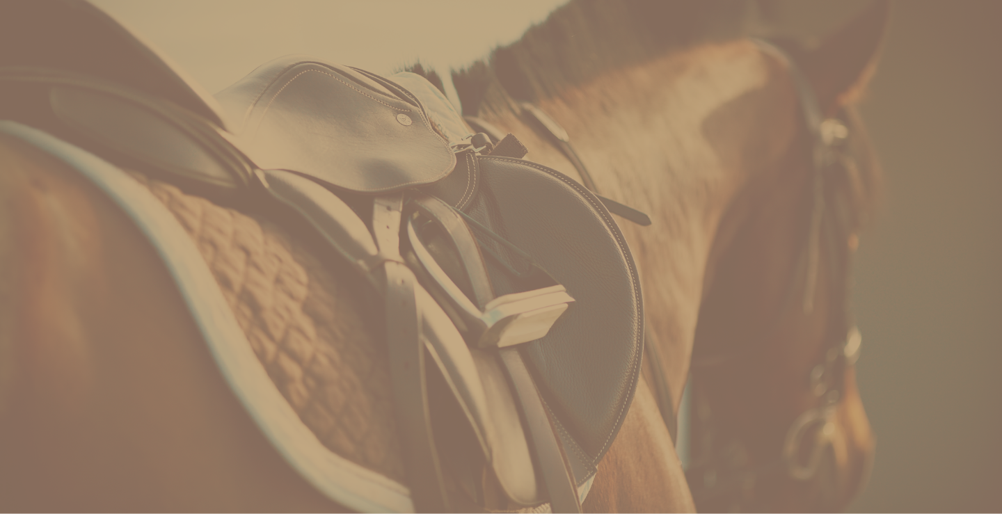 Albion England banner image of a horse and saddle