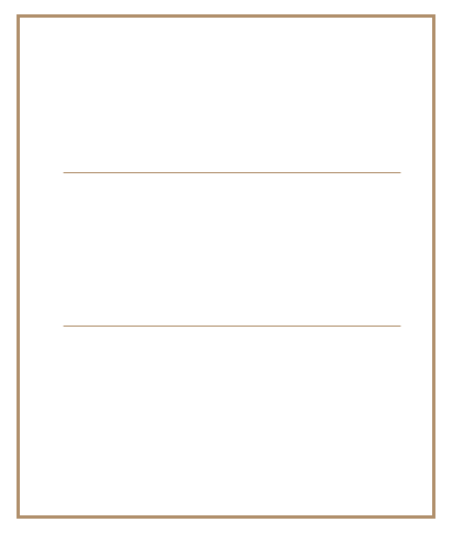Statistics showing Albion England's growth following their digital marketing strategies