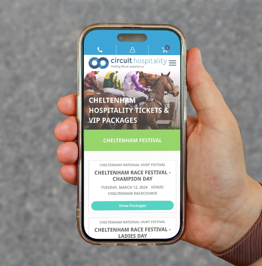 Mock-up image of presentation slides.