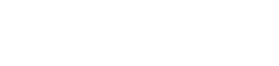 Birmingham Hospice Logo